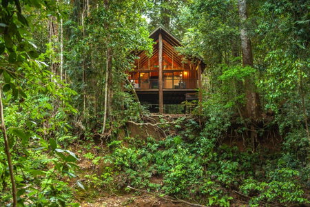 The Canopy Rainforest Treehouses & Wildlife Sanctuary, Tarzali, Australia