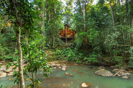 The Canopy Rainforest Treehouses & Wildlife Sanctuary, Tarzali, Australia