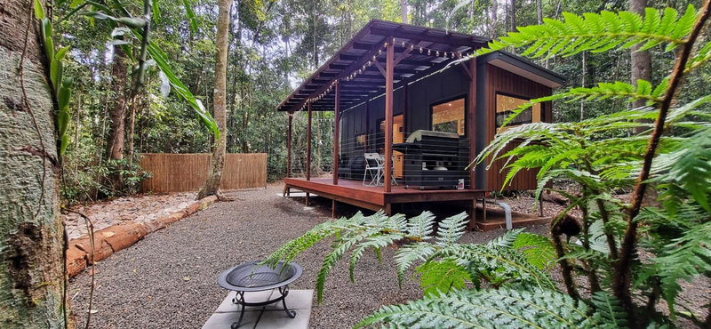 The Canopy Rainforest Treehouses & Wildlife Sanctuary, Tarzali, Australia