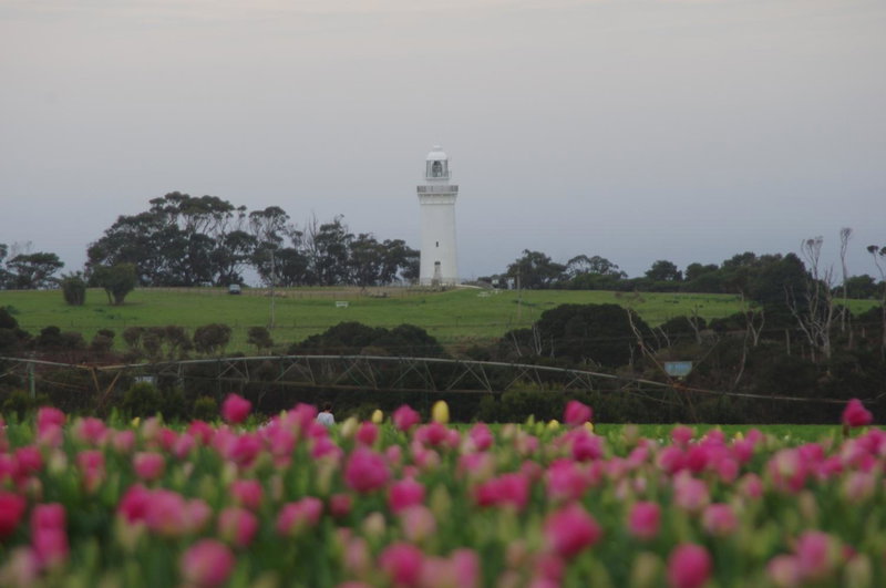 Alexandria Bed and Breakfast, Wynyard, Australia