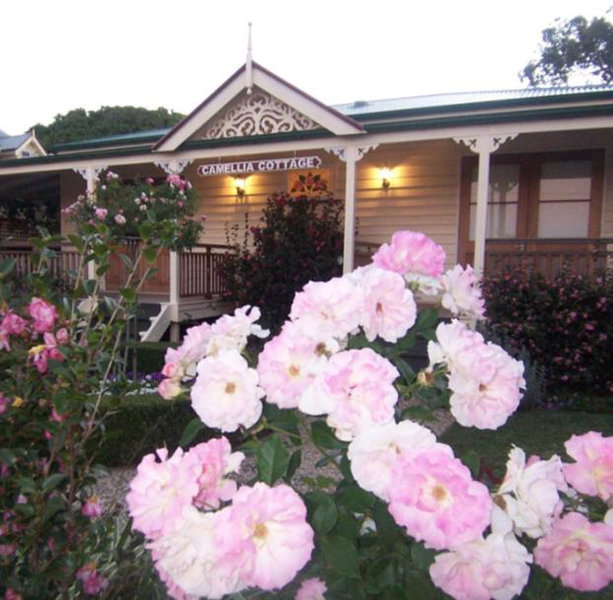 Reid's Place, Redcliffe, Australia