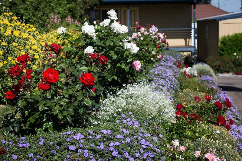 Willows Motel Goulburn, Goulburn, Australia