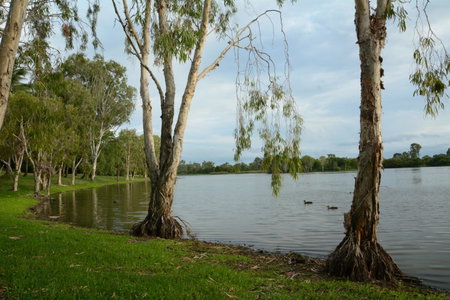 Rocky Gardens Motor Inn Rockhampton, Rockhampton, Australia