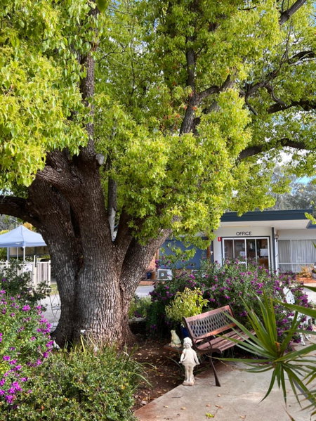 Sturt Motel Balranald, Balranald, Australia