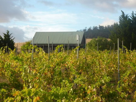Charles Reuben Estate, Hobart, Australia