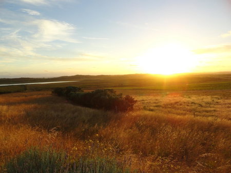 High View Family Cottages, Warrnambool, Australia