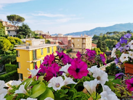 Hotel Canali, Portofino Coast, Rapallo, Italy