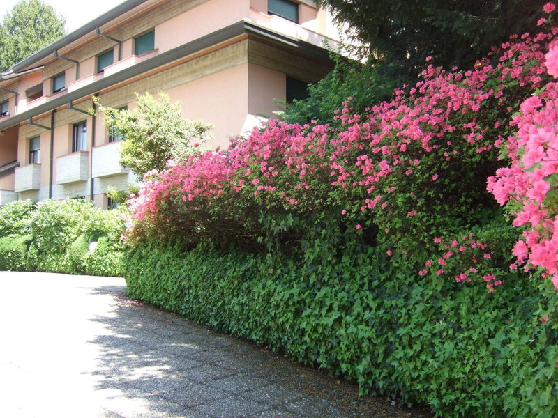 Hotel Canturio, Cantù, Italia