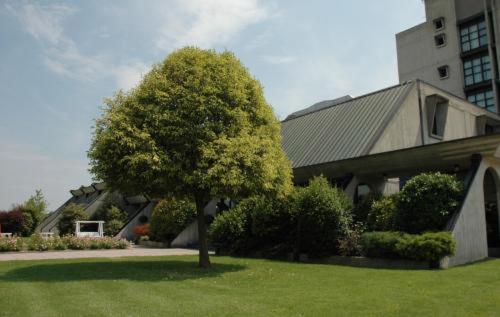 Hotel · Hotel Cavallino, Faenza