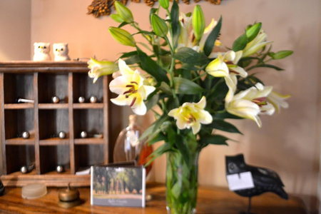 Relais Ciavatta Country Hotel, Montemerano, Italy