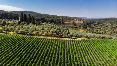 Torre a Cona Wine Estate, Florence, Italien