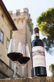 Torre a Cona Wine Estate, Florence, Italien