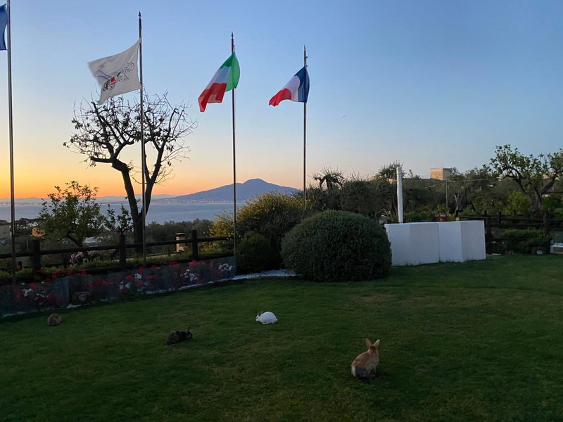 Casale Antonietta, Sorrento, Italia