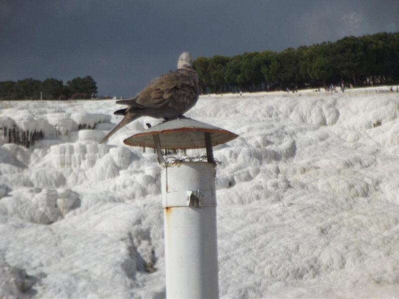 Hotel HAL-TUR, Pamukkale, Turkey