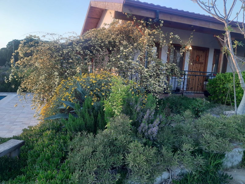 Ionia Guest House, Aydın, Turquía