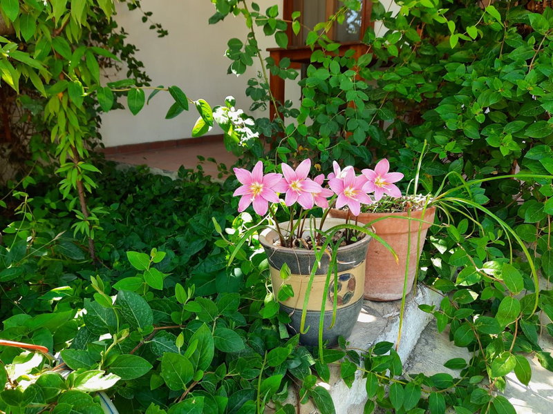 Ionia Guest House, Aydın, Turquía