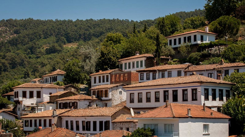 Ionia Guest House, Aydın, Turquía