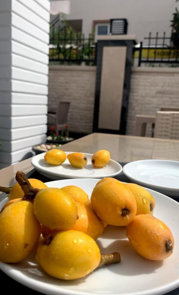 Mi̇yas Luxury Hotel, Kemer, Turquie