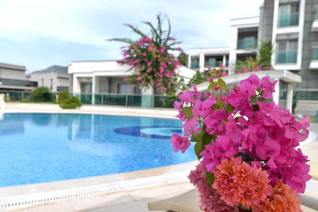 Royal Palm Residence, Bodrum City, Turkey