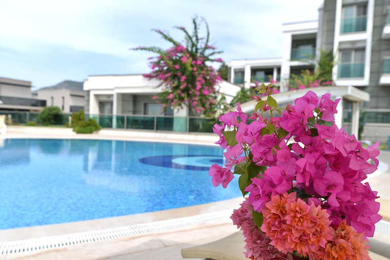 Royal Palm Residence, Bodrum City, Turkey