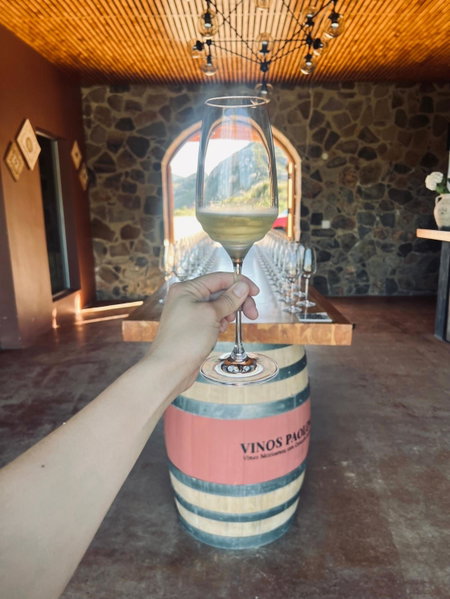 Villa Montefiori, Valle de Guadalupe, Mexico