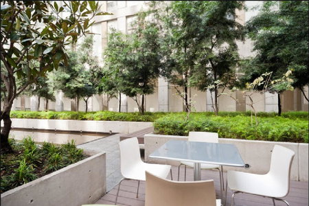 Puerta Alameda Suites México, Mexico City, Мексика