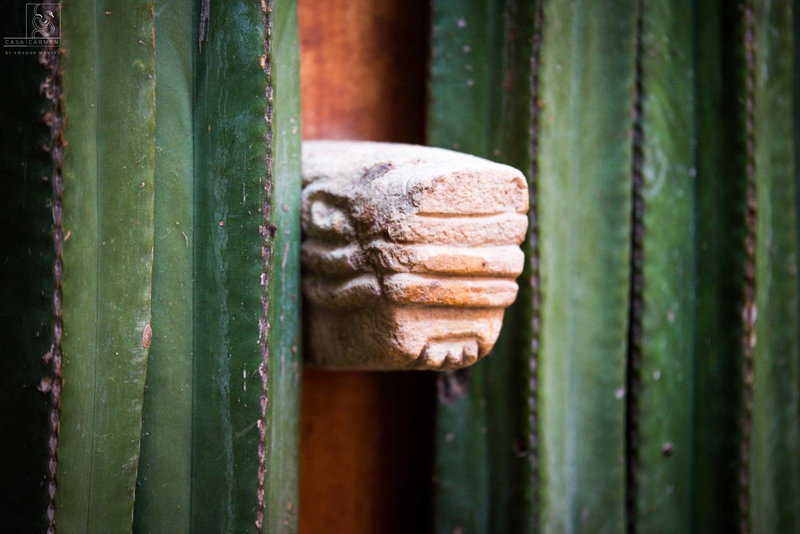 Casa Carmen Reforma, Oaxaca City, Mexico