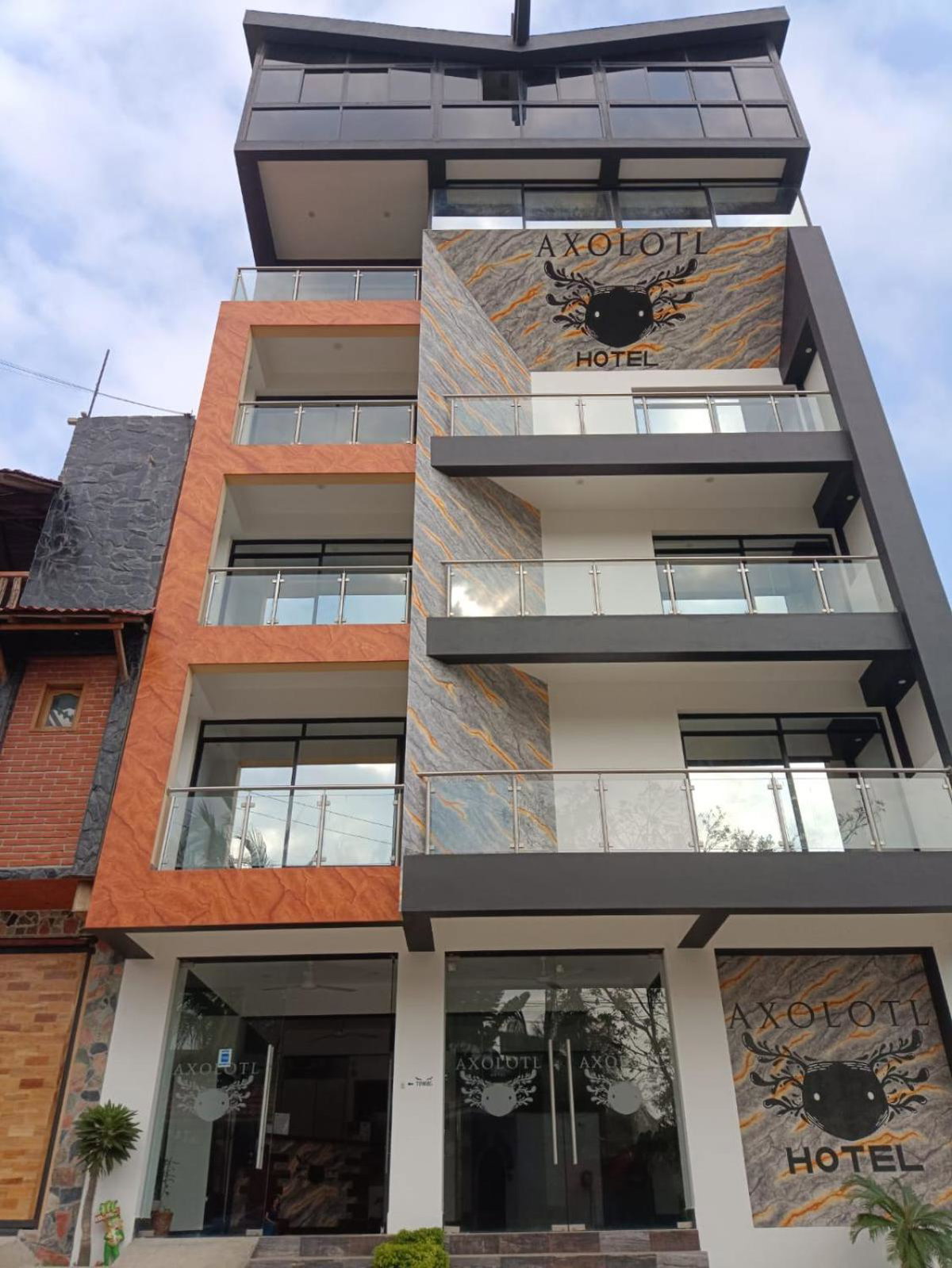 Отель · Hotel Axolotl, Puerto Escondido