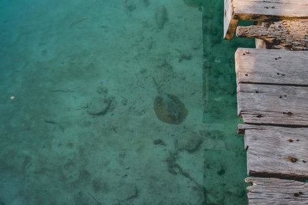 Sotavento Hotel & Yacht Club, Cancún, Mexique