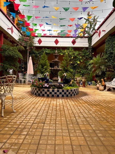 Copa de Oro, Hotel Boutique, Mascota, Mexico
