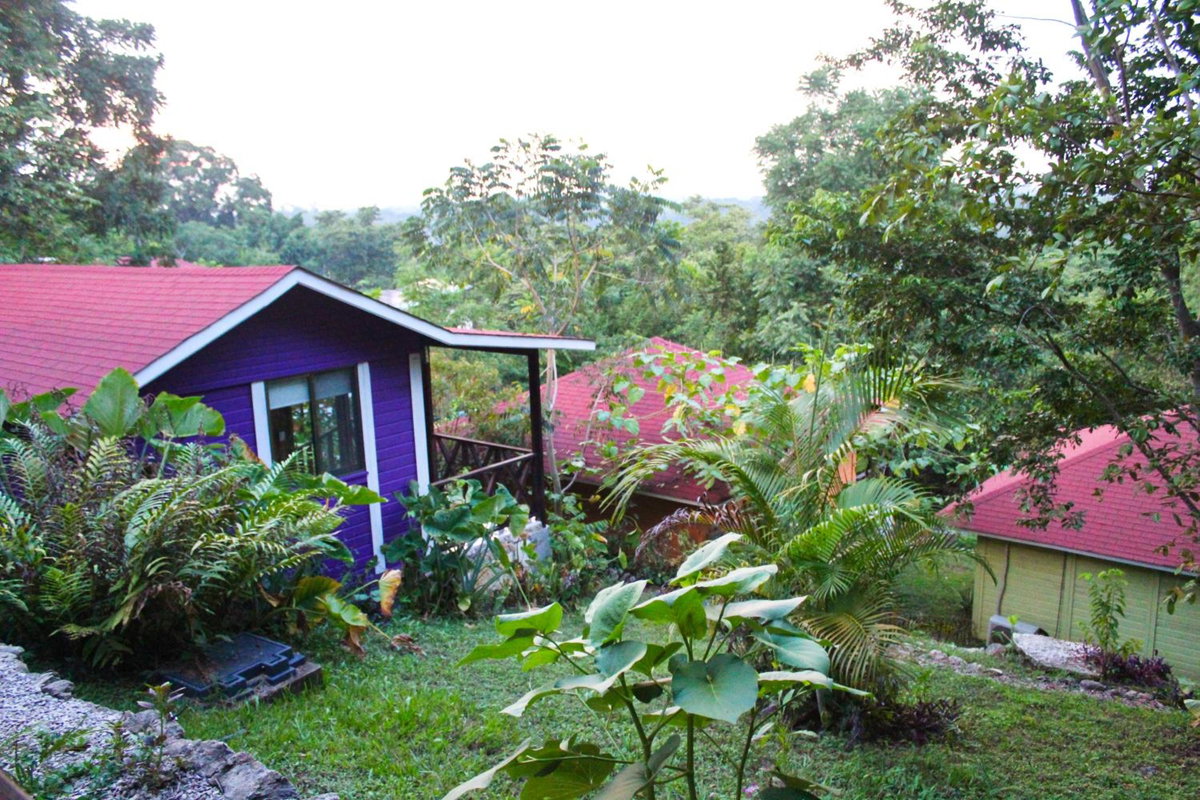 Winíka Alterra, Mexico