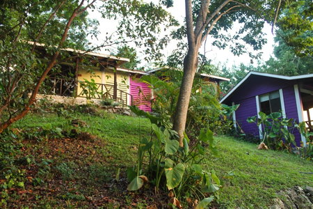 Winíka Alterra, Palenque, Mexico