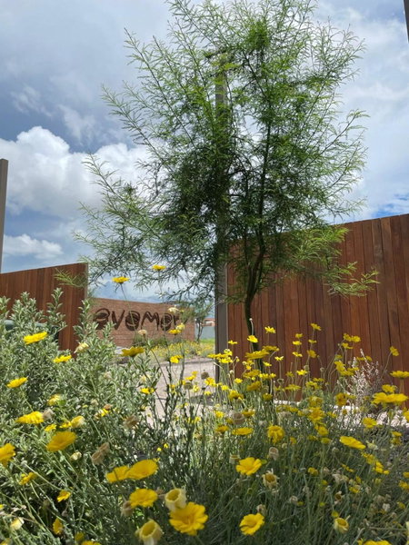 Condominios Evamar San Carlos, Rancho El Pozo, Mexiko