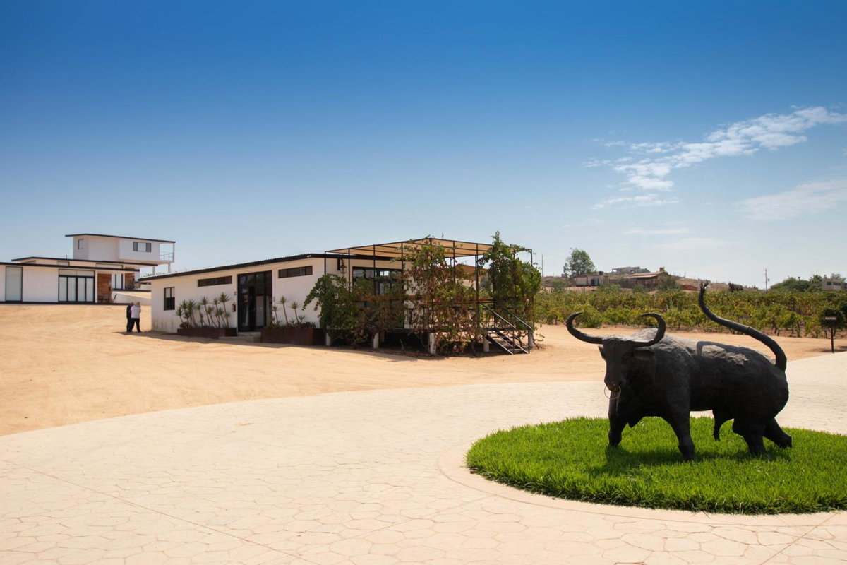 Отель · Quinta Nicolás Valle de Guadalupe, Valle De Guadalupe