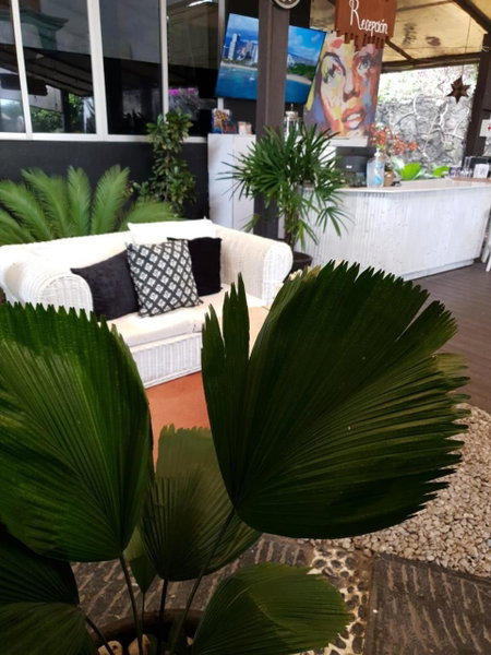 Vf Hotel, Cuernavaca, Mexico