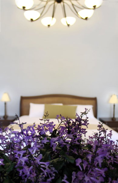 Delfina Boutique Hotel, Mérida, México