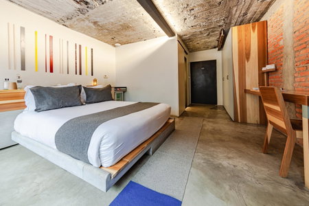 Hotel Carlota, Mexico City, Mexico