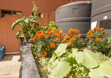 Casa Estrella de la Valenciana Hotel Boutique, Guanajuato, Mexico