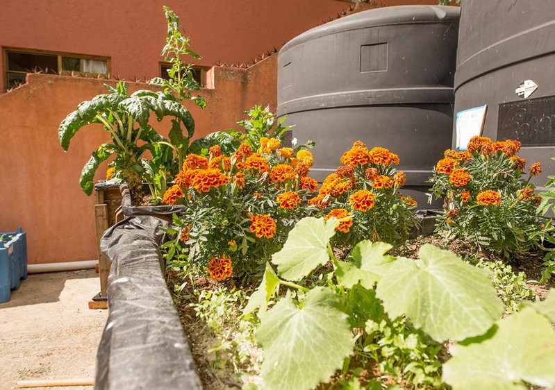 Casa Estrella de la Valenciana Hotel Boutique, Guanajuato, Mexico