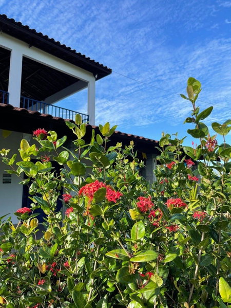 Hotel Pousada Flor de Alecrim - Goiana, Goiana, Brazil