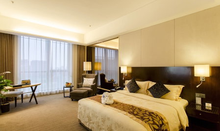 ZTE Hotel Xi'an, Xi'an, Chine