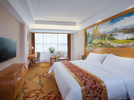 Venus International Hotel Shenzhen Gongming Tianhong, Xitian, China