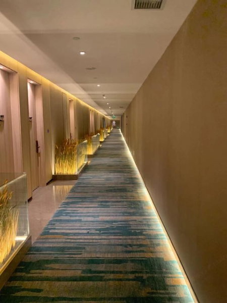 Chengdu Hazens Hotel, Chengdu, China