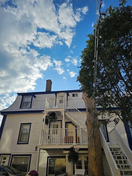 Royal Hotel Sydney, Sydney, Canada