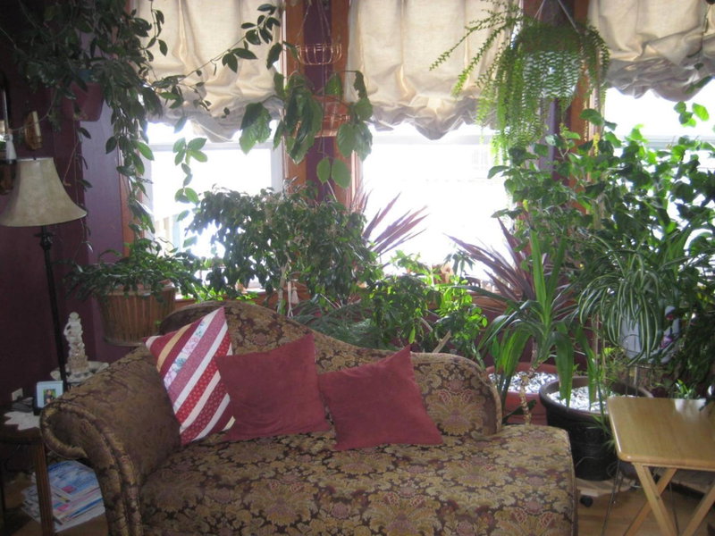 Phoenix House B&B, Stettler, Canada
