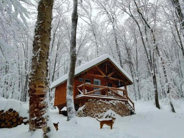 Les Cabines Nordik 2.0, Shawinigan, Canada