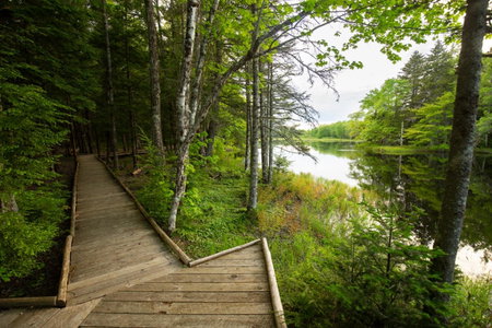 Mersey River Chalets a nature retreat, Caledonia, Canada