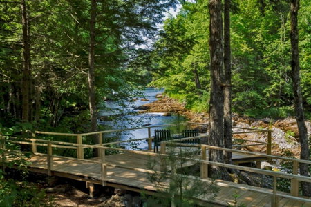 Mersey River Chalets a nature retreat, Caledonia, Canada