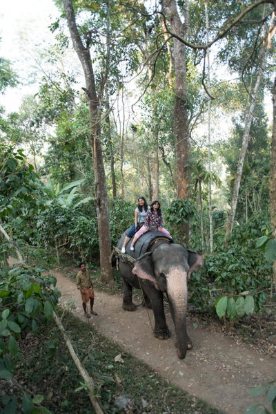 View Valley Homestay, Munnar, India