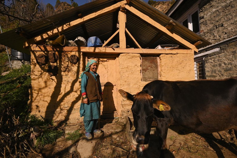 Zostel Dobhi, Manali, Nagar, Inde